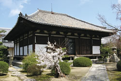 考恩寺の写真