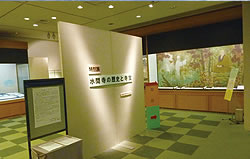 郷土資料展示室（市民図書館 2F）の写真